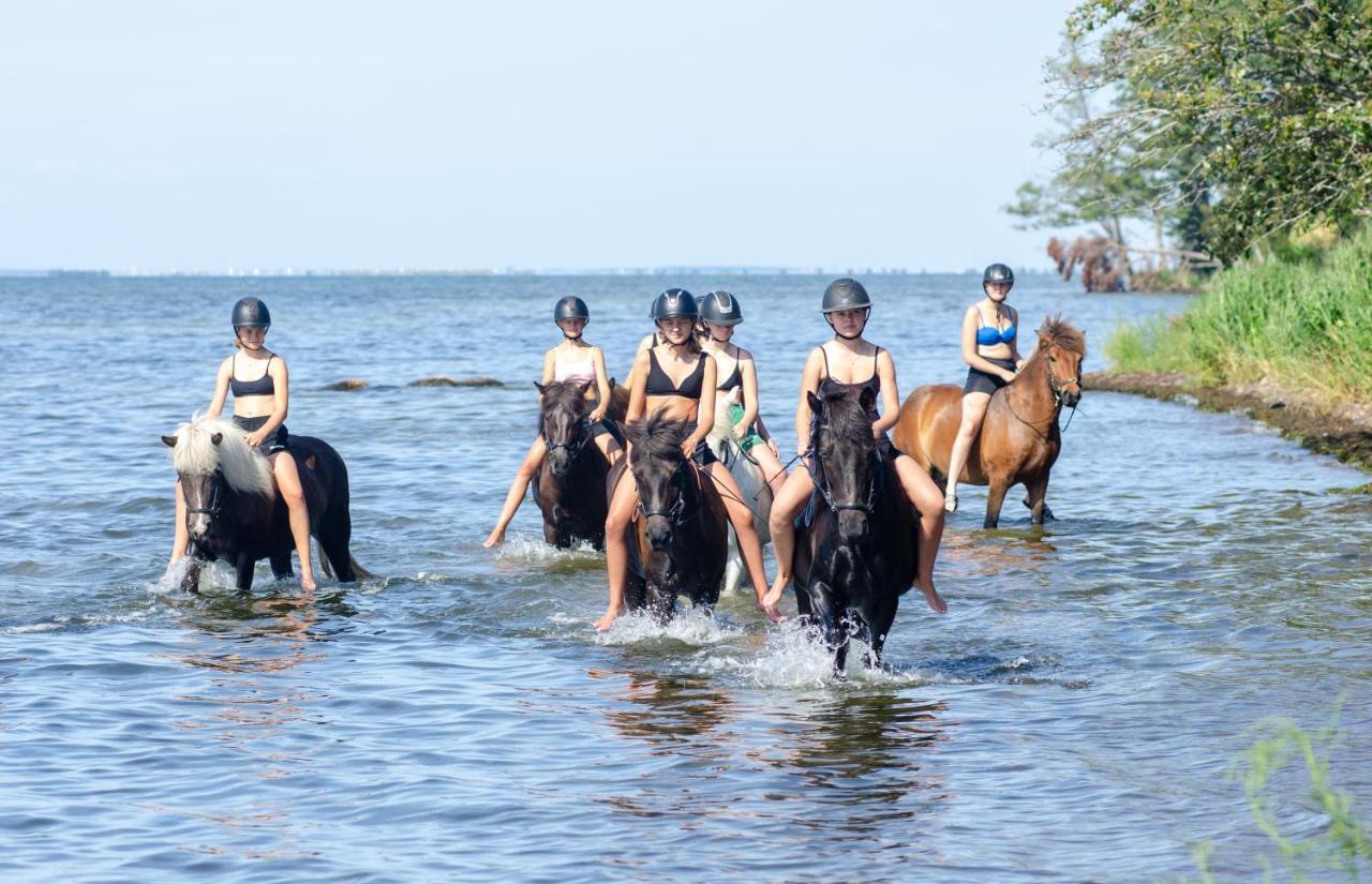 Oelands Yoga Studio & Islandshaestar, Stugor & Rum Мёрбюлонга Экстерьер фото